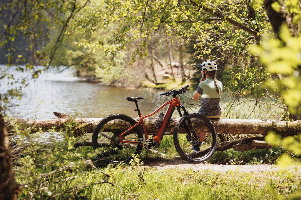 Centurion Backfire Fit R800i lagunagrün 2024 29" 750 (Gr.S 625) Wh Diamant